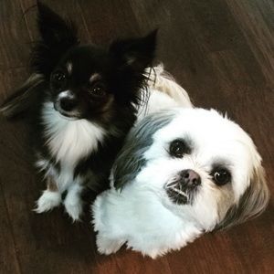 Meet your Posher, Mackenzie